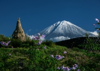 photo?id=2488&suffix=t
