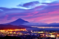 photo?id=2493&suffix=t