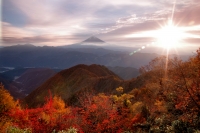 photo?id=2494&suffix=t