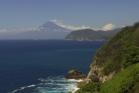 photo?id=2498&suffix=t
