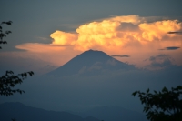 photo?id=2500&suffix=t