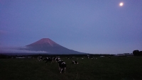 photo?id=2504&suffix=t