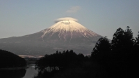 photo?id=2505&suffix=t