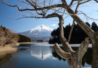 photo?id=2508&suffix=t