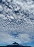 photo?id=2509&suffix=t