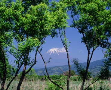 photo?id=2510&suffix=m