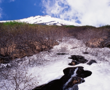 photo?id=2512&suffix=m