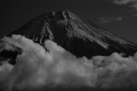photo?id=2514&suffix=t