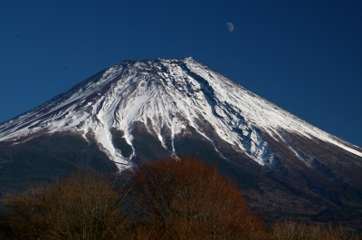photo?id=2515&suffix=m
