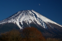 photo?id=2515&suffix=t