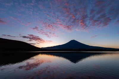 photo?id=2521&suffix=m