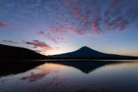 photo?id=2521&suffix=t