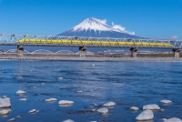 photo?id=2525&suffix=t