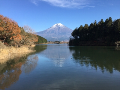 photo?id=2526&suffix=m