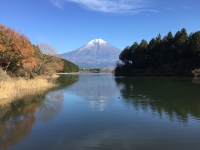photo?id=2526&suffix=t