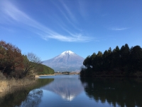 photo?id=2527&suffix=t