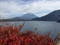photo?id=2528&suffix=t