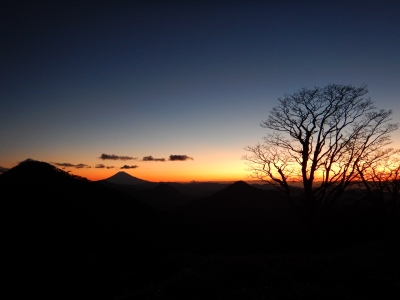 photo?id=2535&suffix=m