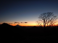 photo?id=2535&suffix=t