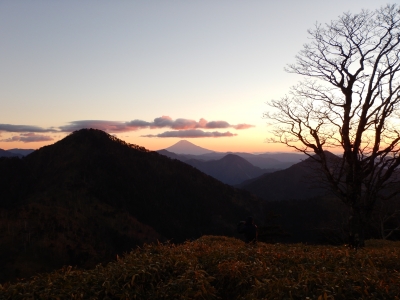 photo?id=2536&suffix=m