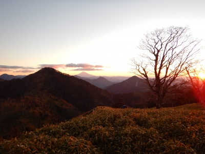 photo?id=2537&suffix=m