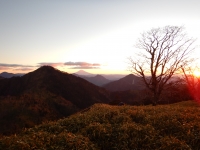 photo?id=2537&suffix=t