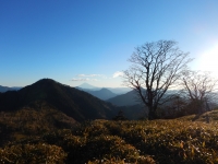 photo?id=2538&suffix=t