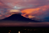 photo?id=2540&suffix=t