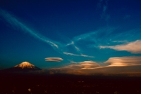photo?id=2541&suffix=t