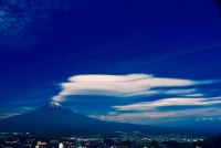 photo?id=2542&suffix=t