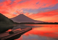 photo?id=2543&suffix=t