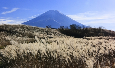 photo?id=2547&suffix=m