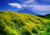 photo?id=2553&suffix=t