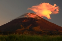 photo?id=2555&suffix=t