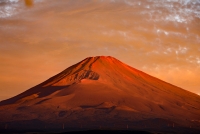photo?id=2557&suffix=t