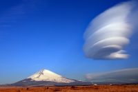 photo?id=2558&suffix=t