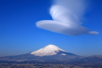 photo?id=2560&suffix=t