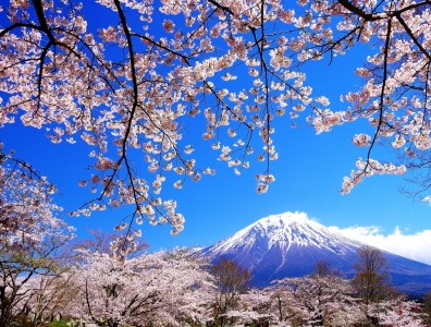 photo?id=2561&suffix=m