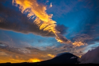 photo?id=2562&suffix=t