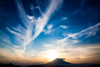 photo?id=2564&suffix=t