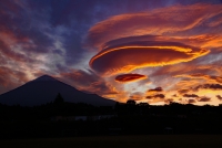 photo?id=2565&suffix=t