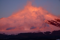 photo?id=2567&suffix=t