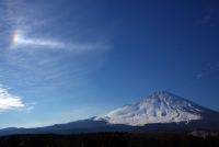 photo?id=2568&suffix=t