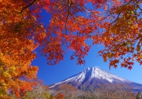 photo?id=2570&suffix=t