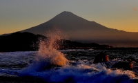 photo?id=2572&suffix=t