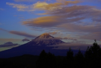 photo?id=2574&suffix=t
