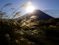 photo?id=2575&suffix=t