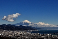 photo?id=2577&suffix=t