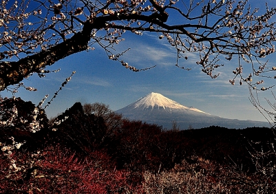photo?id=2579&suffix=m
