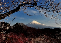 photo?id=2579&suffix=t